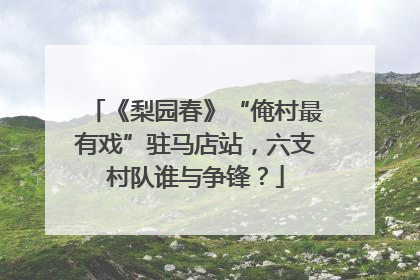 《梨园春》“俺村最有戏”驻马店站，六支村队谁与争锋？