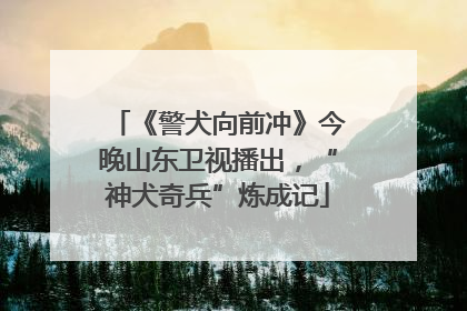 《警犬向前冲》今晚山东卫视播出，“神犬奇兵”炼成记