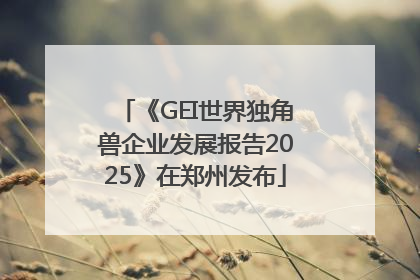 《GEI世界独角兽企业发展报告2025》在郑州发布