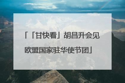 「甘快看」胡昌升会见欧盟国家驻华使节团