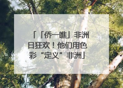 「侨一瞧」非洲日狂欢！他们用色彩“定义”非洲