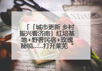 「城市更新 乡村振兴看济南」红培基地+野奢民宿+玫瑰秘境……打开莱芜“齐鲁情映山红片区”的破圈秘籍