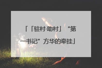 「驻村·助村」“第一书记”方华的牵挂