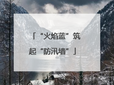 “火焰蓝”筑起“防汛墙”