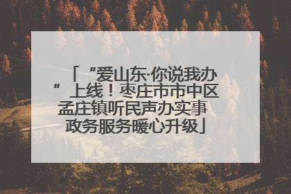 “爱山东·你说我办”上线！枣庄市市中区孟庄镇听民声办实事 政务服务暖心升级