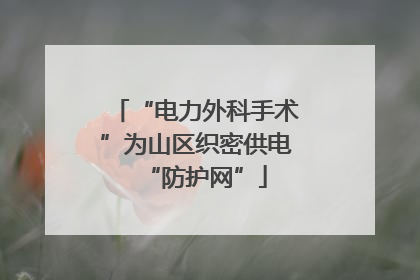 “电力外科手术”为山区织密供电“防护网”