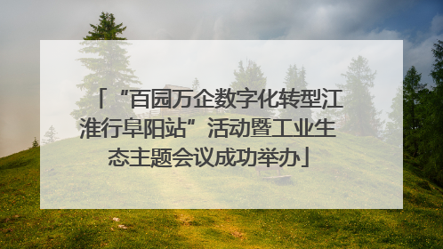 “百园万企数字化转型江淮行阜阳站”活动暨工业生态主题会议成功举办