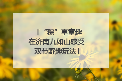 “粽”享童趣 在济南九如山感受双节野趣玩法