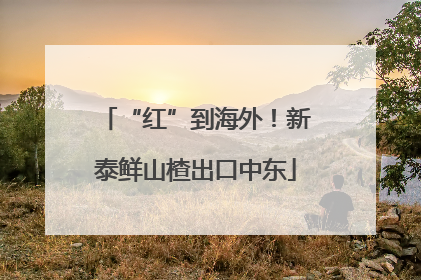 “红”到海外！新泰鲜山楂出口中东