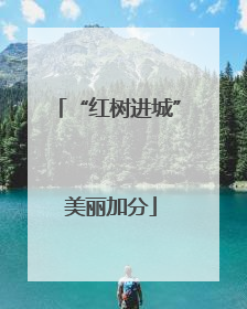 “红树进城” 美丽加分