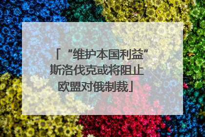 “维护本国利益” 斯洛伐克或将阻止欧盟对俄制裁