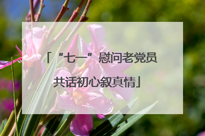 “七一”慰问老党员 共话初心叙真情