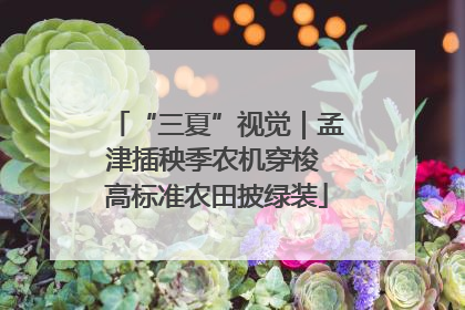 “三夏”视觉｜孟津插秧季农机穿梭 高标准农田披绿装