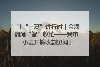 “三夏”进行时｜金浪翻涌“智”收忙——我市小麦开镰收割见闻