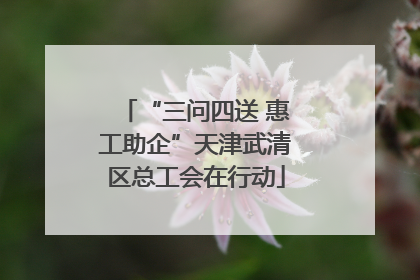 “三问四送 惠工助企”天津武清区总工会在行动