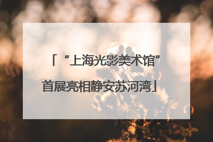 “上海光影美术馆”首展亮相静安苏河湾
