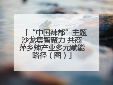“中国辣都”主题沙龙集智聚力 共商萍乡辣产业多元赋能路径（图）