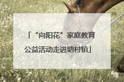 “向阳花”家庭教育公益活动走进塘村镇