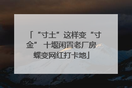 “寸土”这样变“寸金” 十堰闲置老厂房蝶变网红打卡地