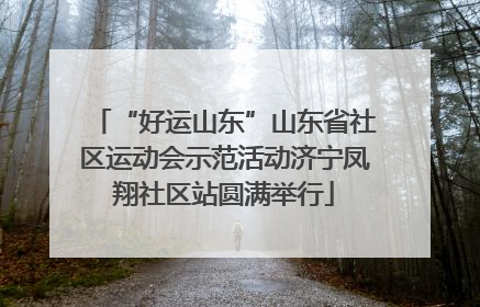“好运山东”山东省社区运动会示范活动济宁凤翔社区站圆满举行