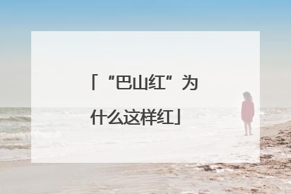“巴山红”为什么这样红