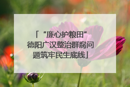 “廉心护粮田” 德阳广汉整治群腐问题筑牢民生底线