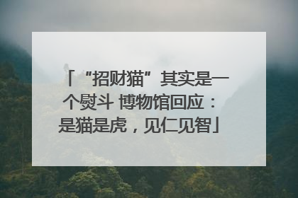 “招财猫”其实是一个熨斗 博物馆回应：是猫是虎，见仁见智