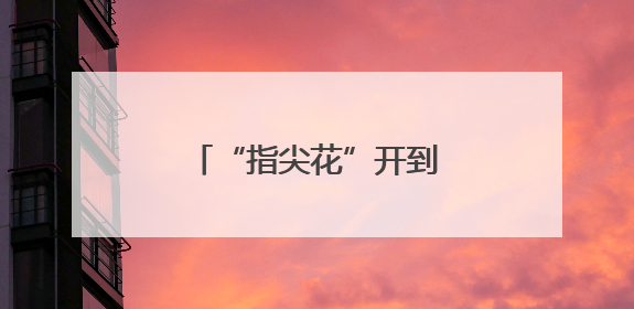 “指尖花”开到世界橱窗 小凉山千年纹样绽新色
