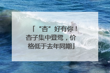 “杏”好有你！杏子集中登鹭，价格低于去年同期