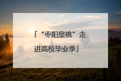 “枣阳皇桃”走进高校毕业季