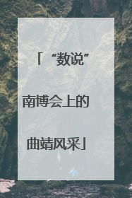 “数说”南博会上的曲靖风采