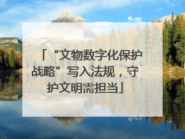 “文物数字化保护战略”写入法规，守护文明需担当