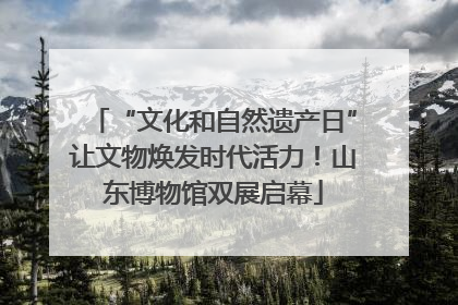 “文化和自然遗产日”让文物焕发时代活力！山东博物馆双展启幕