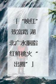 “映红”致富路 湖北广水胭脂红鲜桃火“出圈”