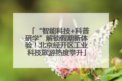 “智能科技+科普研学”解锁假期新体验！北京经开区工业科技旅游热度攀升