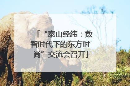 “泰山经纬：数智时代下的东方时尚”交流会召开