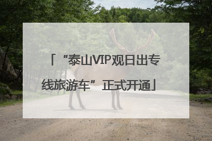 “泰山VIP观日出专线旅游车”正式开通