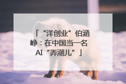 “洋创业”伯涵峥：在中国当一名AI“弄潮儿”