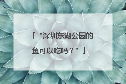 “深圳东湖公园的鱼可以吃吗？”