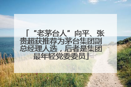 “老茅台人”向平、张贵超获推荐为茅台集团副总经理人选，后者是集团最年轻党委委员