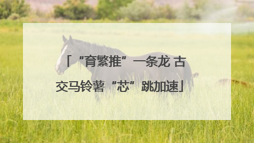 “育繁推”一条龙 古交马铃薯“芯”跳加速