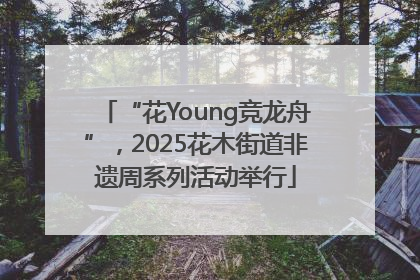 “花Young竞龙舟”，2025花木街道非遗周系列活动举行