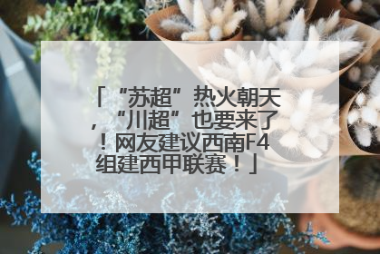 “苏超”热火朝天，“川超”也要来了！网友建议西南F4组建西甲联赛！