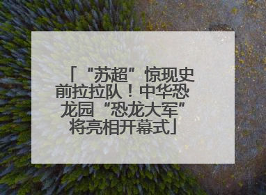“苏超”惊现史前拉拉队！中华恐龙园“恐龙大军”将亮相开幕式