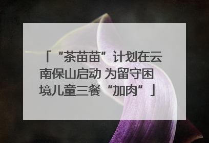 “茶苗苗”计划在云南保山启动 为留守困境儿童三餐“加肉”