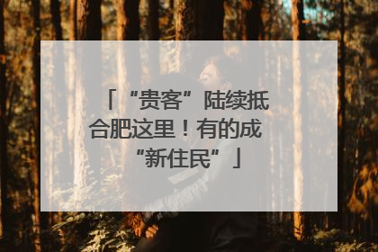 “贵客”陆续抵合肥这里！有的成“新住民”