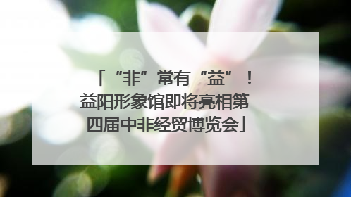 “非”常有“益”！益阳形象馆即将亮相第四届中非经贸博览会