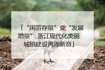 “闲置存量”变“发展增量” 浙江现代化美丽城镇建设再添新意