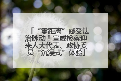 “零距离”感受法治脉动！宣威检察迎来人大代表、政协委员“沉浸式”体验