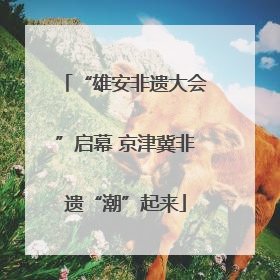“雄安非遗大会”启幕 京津冀非遗“潮”起来